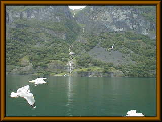 アウランフィヨルド・滝とかもめ