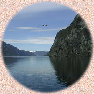 �i�[���I�C�t�B�����h�Ƃ�����