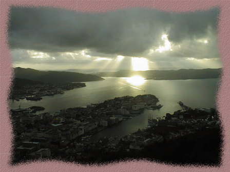 �P�X�X�W�N�E�t���C�G���R����