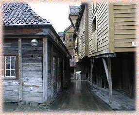 �u���b�Q���̉��̗l�q�E�P