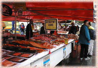 ���s��̗l�q