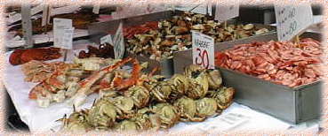 ���s��̐V�N�ȋ����