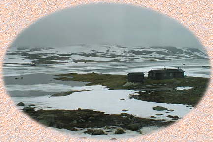 �t�B���Z�t��