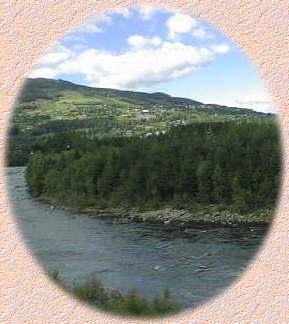 �ԑ����猩�����