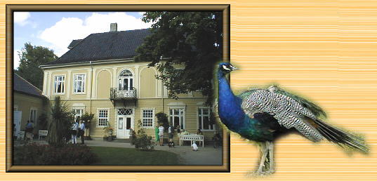 グルスコーゲンの博物館と孔雀