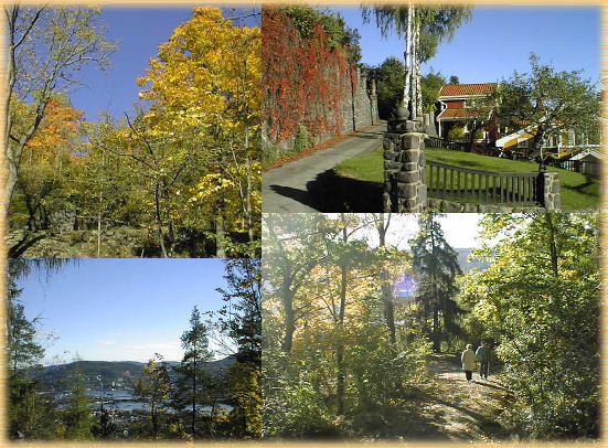 �X�s�������̍g�t�R