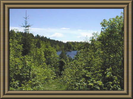 �΁i�����j