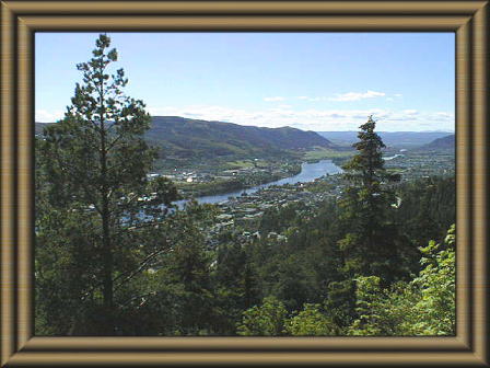 �h��������̕��i