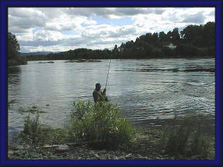 �h��������Œނ������l