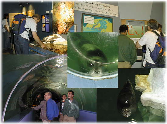 �|�[�����A�����فE�����̗l�q