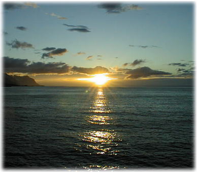 �D�ォ��̃~�b�h�i�C�g�T��