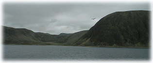 �D����̕��i