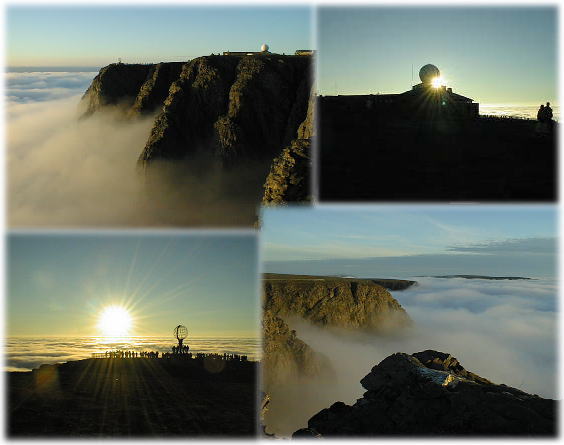 �m�[���J�b�v�̕��i