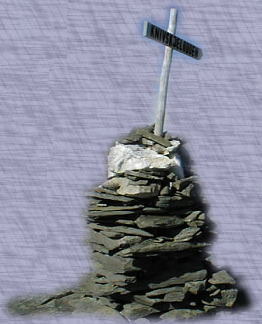 �N�j���X�V�F���f���̕W��