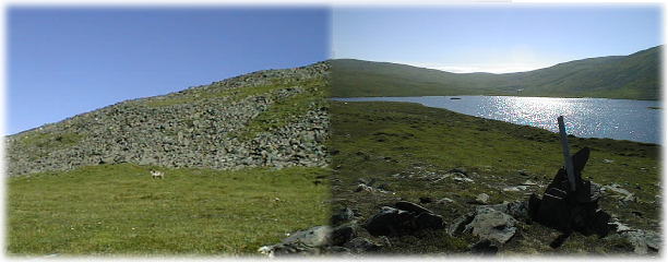 �N�j���X�V�F���f���܂ł̕��i