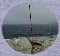 �k�̉ʂĂɗ��Ă�ꂽ�|�[��