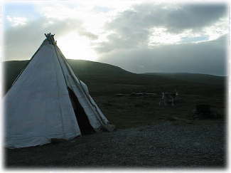 �T�[���l�̃e���g�ƃg�i�J�C