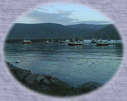 �X�J�[�X���H�[�O�̍`