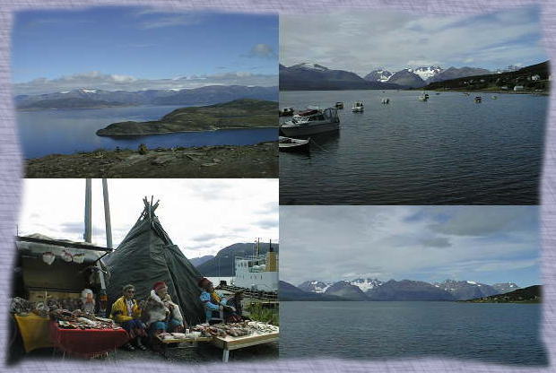 アルタ〜トロムソ・バスの旅の風景