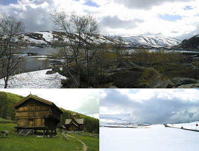 �h���C�u���i