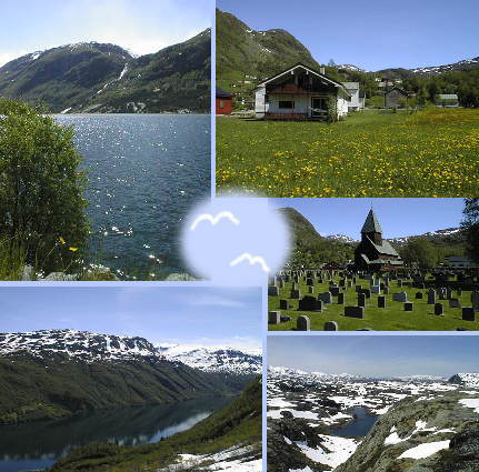 �A�H�̃h���C�u���i