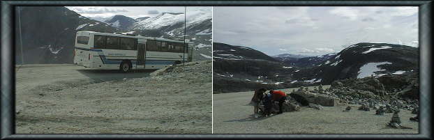 �_���X�j�b�p����̕��i�R