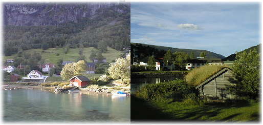 �X�g���B��