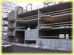 �H�����̃}���V����