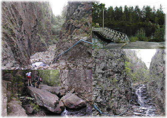 �k�J�o��̗l�q