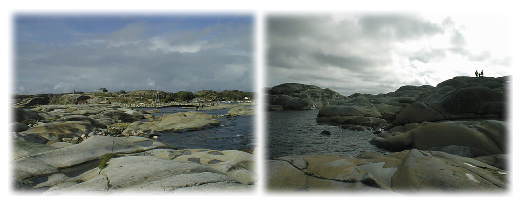 �o���f���X�G���l�̕��i�i�C�Ӂj