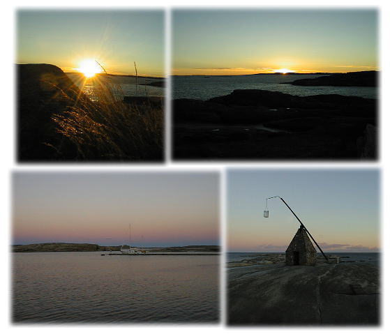 �o���f���X�G���l�̗[��