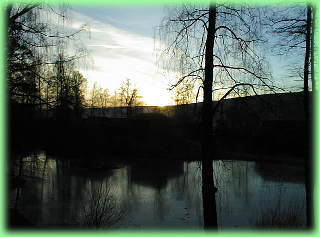 �}�C�n�E�Q���̕��i