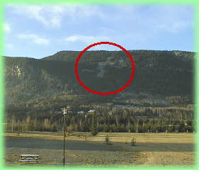 �R�̒��́u���΂����j�v