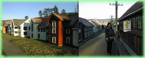 �����v�g�n�������̃~�j�`���A�̉ƁX