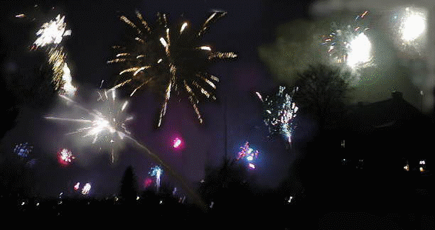 �󂢂��ς��̉ԉ�