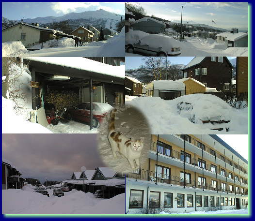 ��ɖ����ꂽ�ƁX