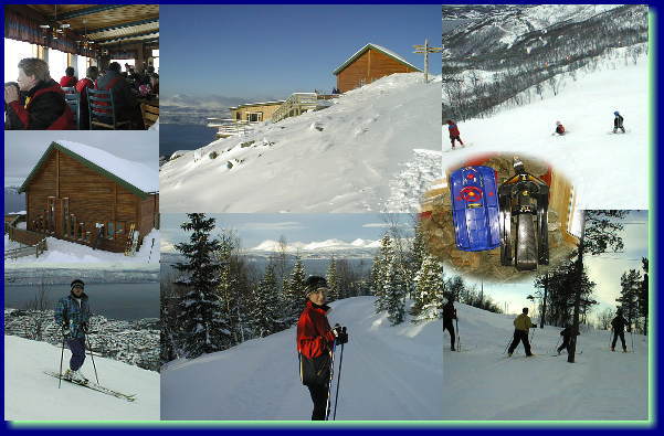 �X�L�[��̗l�q