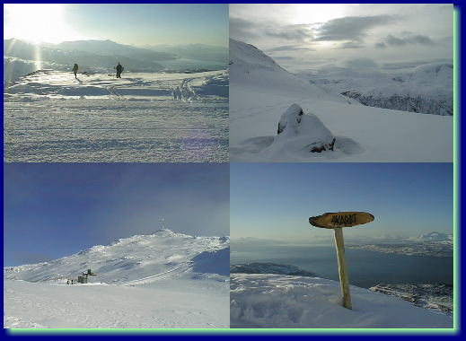 ��̒��̕��i