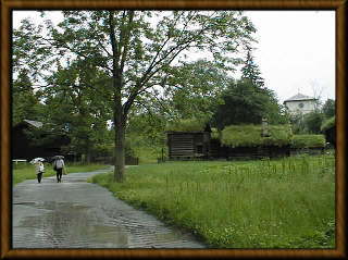 �q�̓I�ȕ~�n���̗l�q