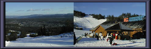 �R���O�X�x���O�̃X�L�[��