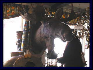 アンティークショップのトナカイの頭