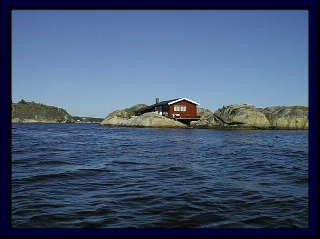 �����Ɍ��Ԃ��T�}�[�n�E�X