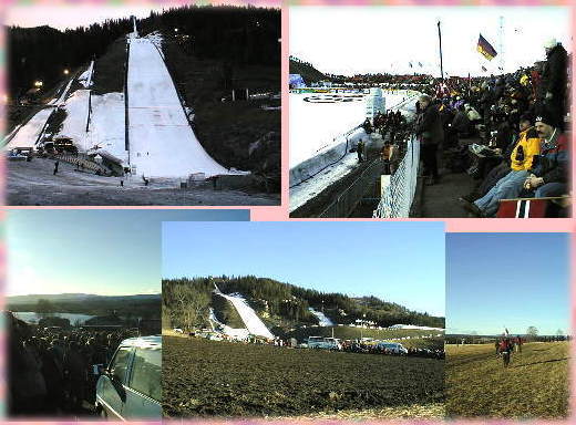 ���B�[�P�V�����̉��̗l�q